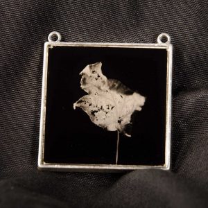 Colgante de colodión húmedo Colgante de colodión húmedo