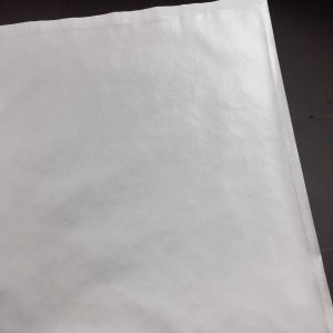 20 Papeles albuminados 11×14″ (27,9 X 35,6cm) 20 Papeles albuminados 11×14″ (27,9 X 35,6cm)